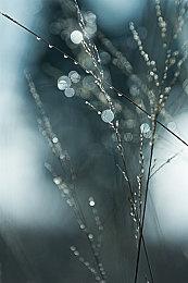 《三国志8重制版》奇才系统介绍 武将独一无二的能力